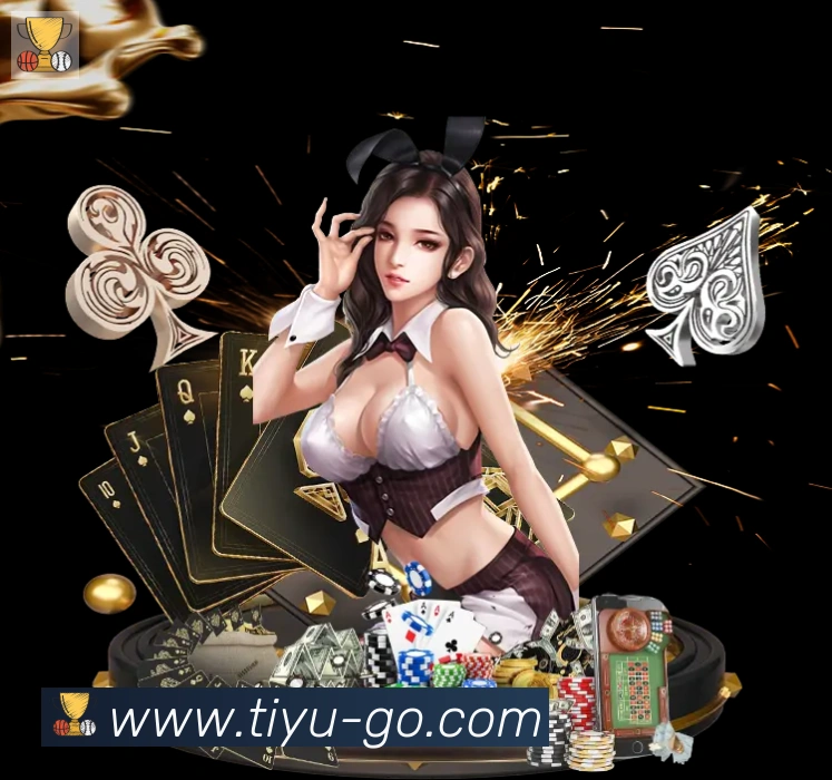 TK体育直播荣誉